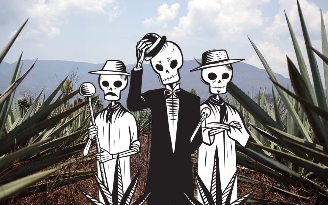 Mezcal Masterclass mit »Los Siete Misterios«